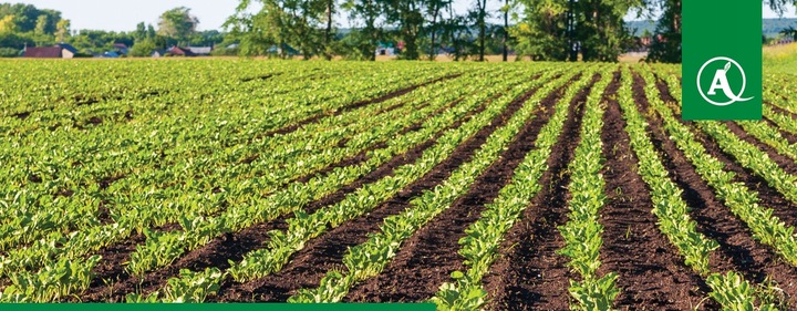 Nawóz Florovit Agro Complex NPK 12-11-18 25kg NISKA ZAWARTOŚĆ CHLORKÓW