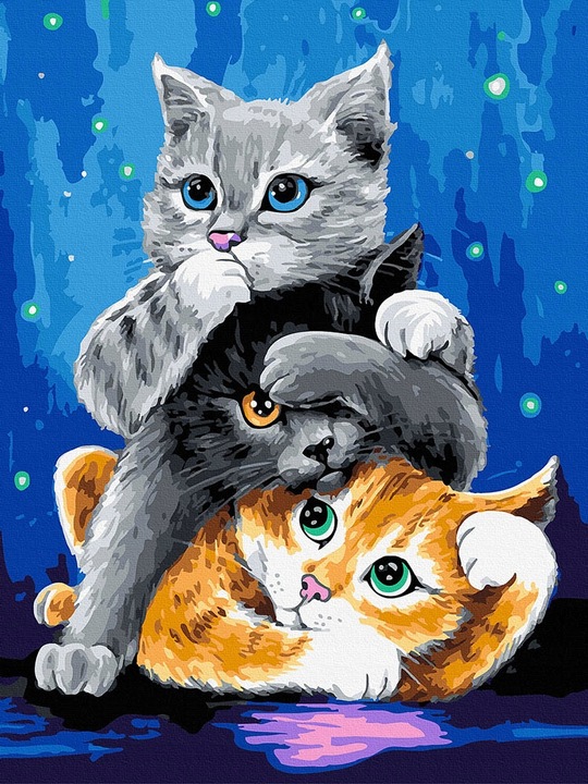 Malowanie po numerach iPicasso 30x40 cm na ramie