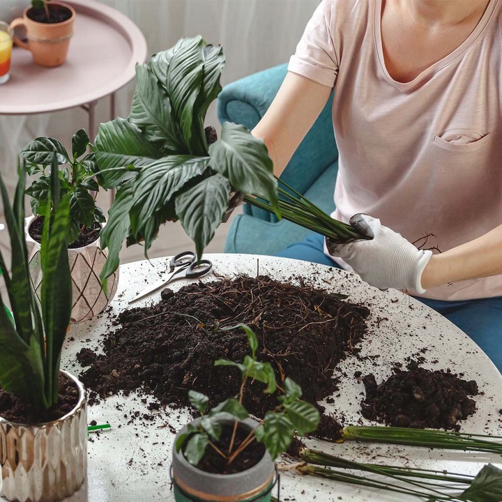 Włókno kokosowe 5kg - TORF W KOSTCE brykiet 60L podłoże kokosowe do