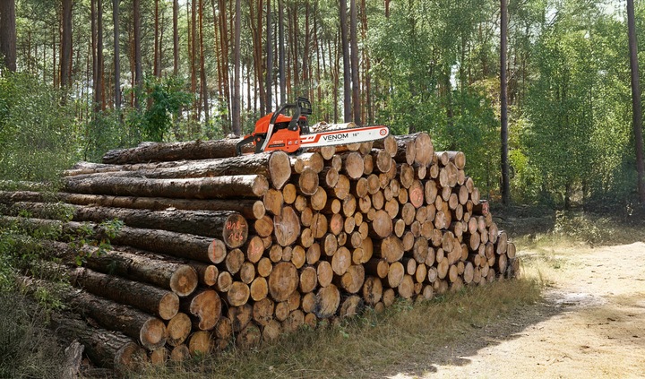 PIŁA SPALINOWA PILARKA ŁAŃCUCHOWA 5,9KM 58CC 4xŁAŃCUCH 2xPROWADNICE