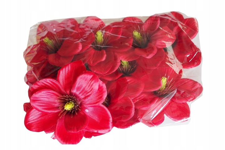 Gąbka mokra florystyczna cegła pianka zielona 20 sztuk !