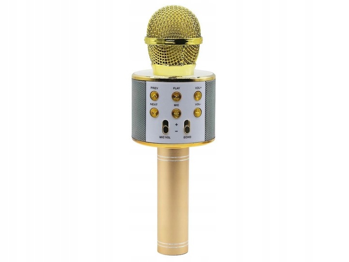 MIKROFON KARAOKE GŁOŚNIK BLUETOOTH MANTA MODULACJA