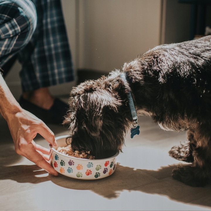 Mokra karma dla psa 10x400g Butchers mix smaków