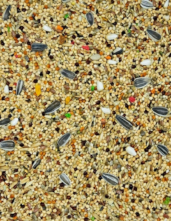 karma dla papug małych "Energy Taste" MDM PM 1 x 10kg fa