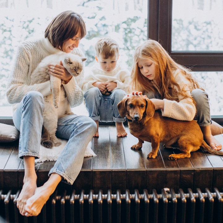 Folia Ochronna Dla Psów Kotów Drapak Gruba Samoprzylepna + Zestaw 152x50cm