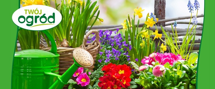 Mączka bazaltowa 10kg NAWÓZ WZAMACNIJĄCY ROŚLNY