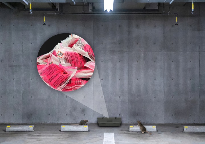 MOCNA SILNA TRUTKA NA SZCZURY MYSZY CZERWONA PASTA BROMADIOLONE NO