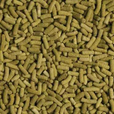 TROPICAL BIOREPT L POKARM DLA ŻÓŁWI LĄDOWYCH 5l 1,4kg