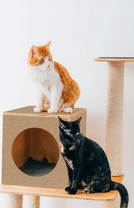 Samoprzylepna MATA DO DRAPANIA na kanapę meble dla kotów ochrona 100x40