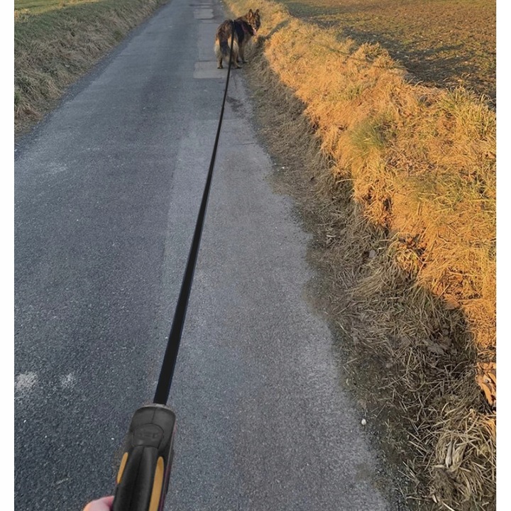 Smycz Automatyczna dla Psa Taśma z Blokadą do 50kg