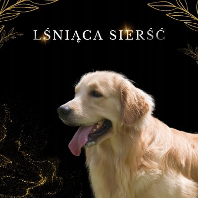 LAB V Olej z łososia z zawartością witamin 250ml