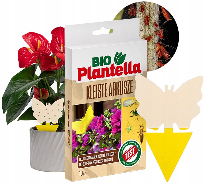 KLEISTE ARKUSZE LEP NA MSZYCE WCIORNIASTKI MĄCZNIAKI MUCHY INNE SZKODNIKI