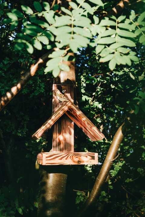 DREWNIANY karmnik dla PTAKÓW budka góralski POLSKI HIT DOMEK