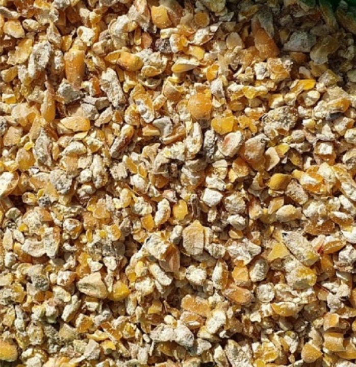 Kukurydza Gnieciona pasza karma 25kg Polska dla kur niosek gołębi