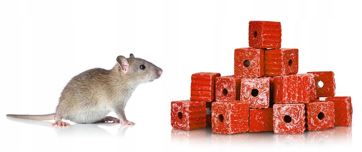 SILNA TRUTKA NA MYSZY I SZCZURY MURIBROM KOSTKA WOSKOWA BROMADIOLON