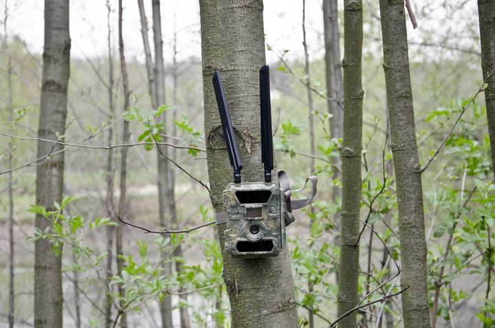 Kamera Leśna FOTOPUŁAPKA Myśliwska FHD GSM 4G LTE MMS wysyła FILMY