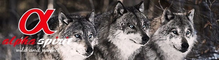 ALPHA SPIRIT 7 DAYS MENU FORMULA KARMA SUCHA PÓŁMIĘKKA 1KG