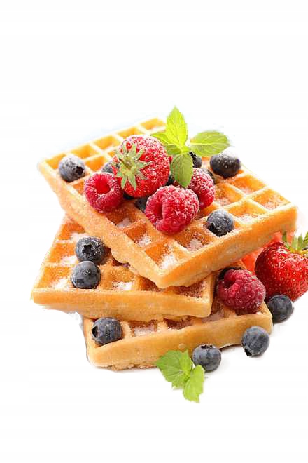 Gofry biszkoptowe w proszku Emix Gofry 5 kg