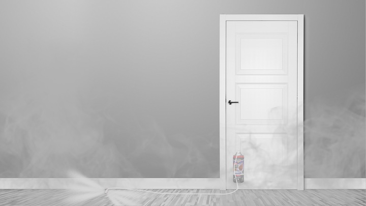 ŚRODEK BOMBA PREPARAT GRANAT FOGGER NA PLUSKWY PAJĄKI MOLE PRUSAKI (3