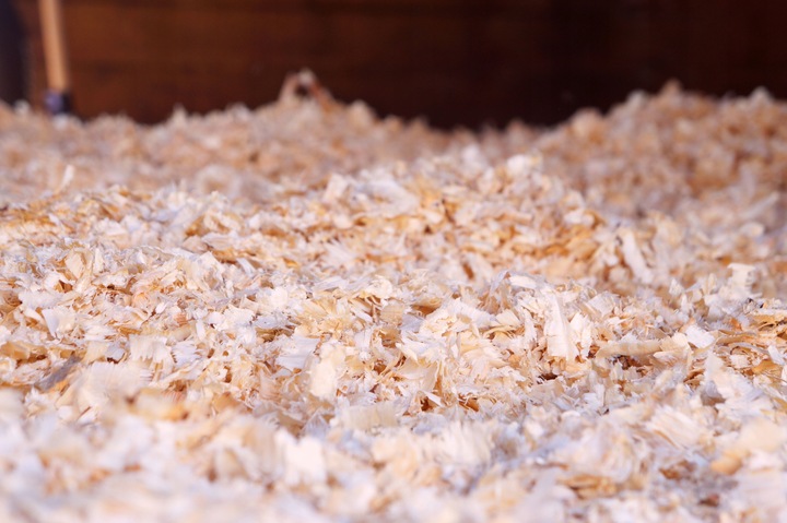 Bezpyłowe trociny ściółka ProBioBED Classic dla gryzoni, koni ODPYLONE 250l