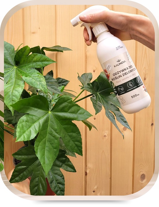 Odżywka Nawozowa Nawóz Do Liści Roślin Zielonych Monstery Palm Fikusa