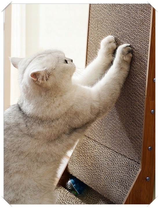 Drapak Narożny Dla Kota Kotów Zabawka z Piłką