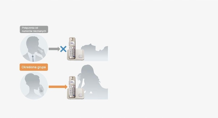 TELEFON PANASONIC KX-TGE210PDN