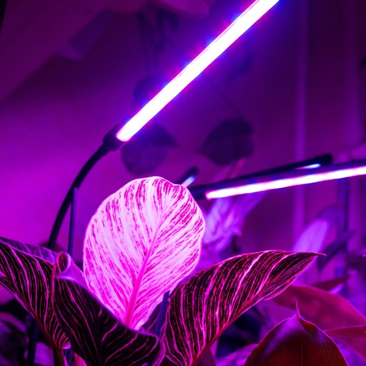 LAMPA DO WZROSTU UPRAWY ROŚLIN LED GROW LIGHT TIMER 9 POZIOMÓW ŚWIECENIA