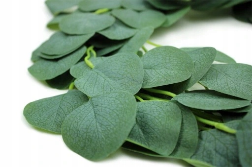 Girlanda Eukaliptus Bluszcz Sztuczne Zielone Listki Komunia Wesele 2 Metry