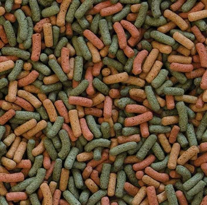 TROPICAL BIOREPT W POKARM DLA ŻÓŁWI WODNYCH I ZIEMNOWODNYCH 5l 1,5kg