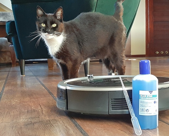 Blue Star WYDAJNY Płyn do robotów czyszczących mopujących 200 ml z pipetą