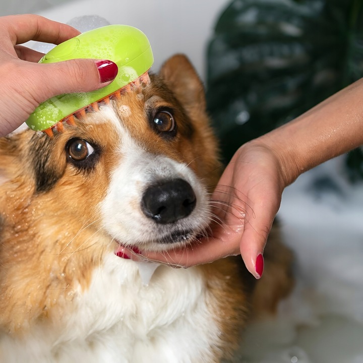 SZCZOTKA PAROWA DLA KOTA PSA ZWIERZĄT MASAŻER GRZEBIEŃ ELEKTRYCZNY SIERŚĆ