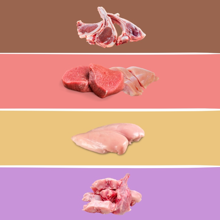 MOKRA KARMA DLA KOTA MIX SMAKÓW MEGA BOX SASZETKI W SOSIE 48X100G PREVITAL