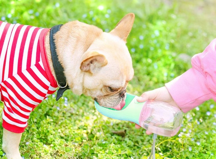 BUTELKA TURYSTYCZNA DLA PSA POIDŁO MISKA NA WODĘ PRZENOŚNA NA SPACER BIDON