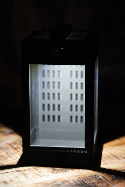 Terrarium dla skakuna modliszki pająka - Oświetlenie Higrometr Termometr