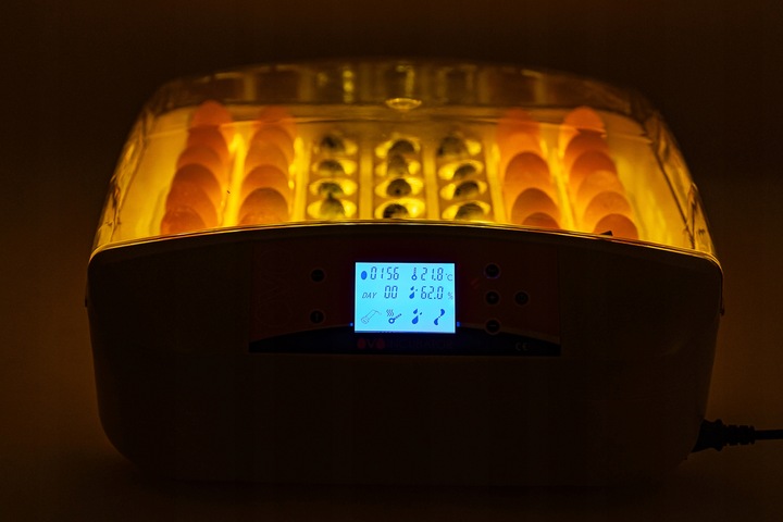 INKUBATOR AUTOMATYCZNY OVO do 56 JAJ wylęgarka klujnik + PRZEŚWIETLARKA