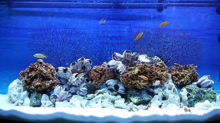 Biały drobny piasek kwarcowy do akwarium 25 KG