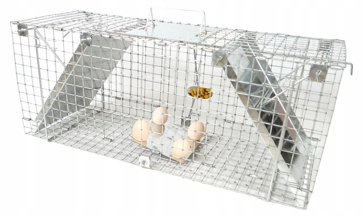 ŻYWOŁAPKA PUŁAPKA NA KUNY SZCZURY ŁASICE NORKI TCHÓRZE ŁASKI ŁAPKA