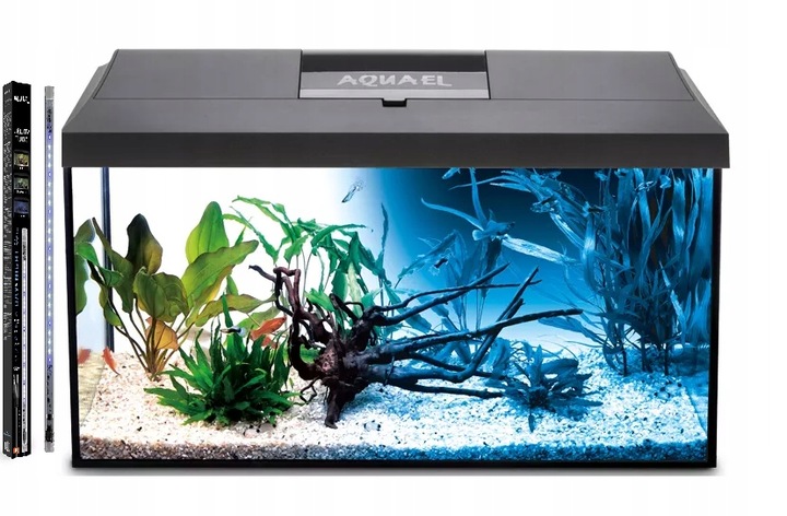 AKWARIUM 60x30x40 PROSTY 72L POKRYWA AQUAEL LEDDY DZIEŃ + NOC + WYPOSAŻENIE