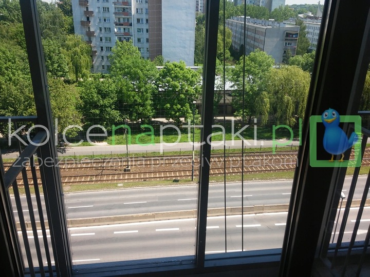 Siatka 3x4 przezroczysta dla kota, przeciw ptakom