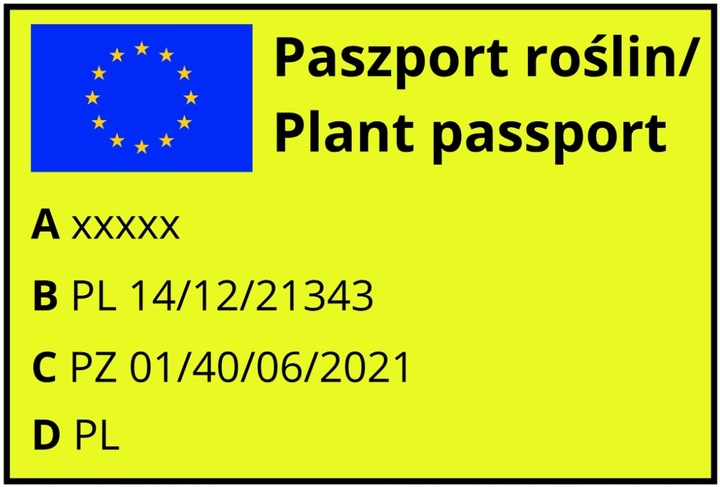 Agrest GIGANT OLBRZYMI – Czerwony kolos w Twoim ogrodzie KRZEW