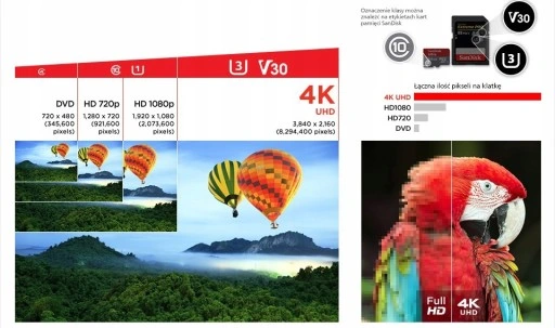 Karta micro SD SANDISK EXTREME 256GB 190/130 V30