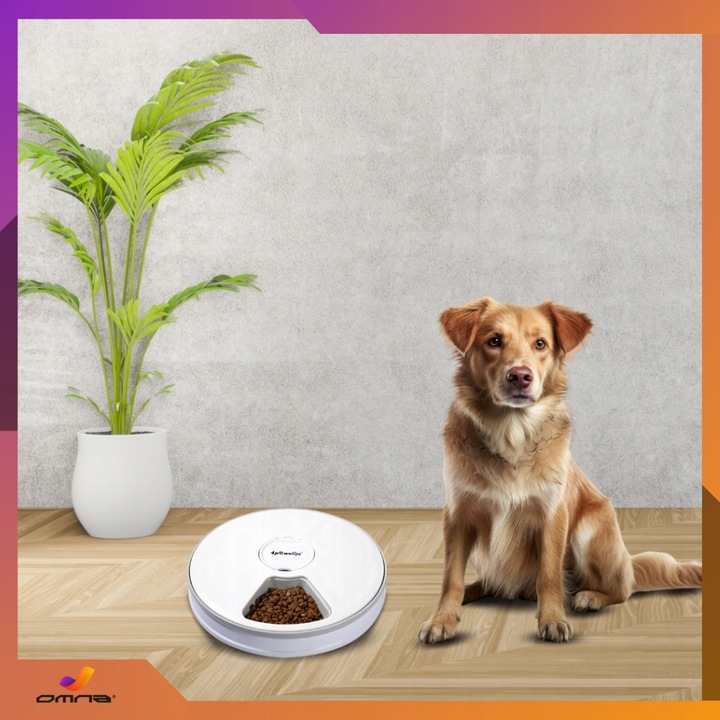Automatyczny podajnik karmy dla kota psa królika kotów dozownik karmy miska