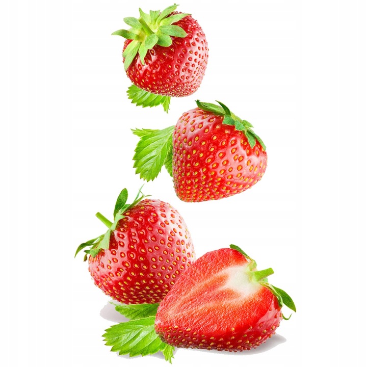 ŻWIREK SILIKONOWY DLA KOTA KOTÓW WYDAJNY ZWIERZOPASJA KOMPLET 5 x 3,8L