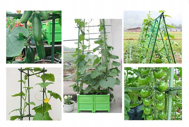 Podpora siatka do ogórków Pomidorów TYCZKA PALIK 7 Tyczek 150cm + Akcesoria