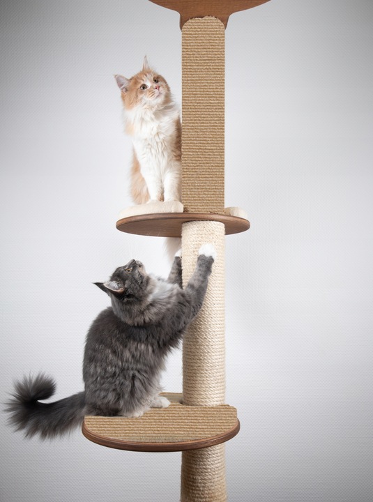 Samoprzylepna MATA DO DRAPANIA na kanapę meble dla kotów ochrona 100x40