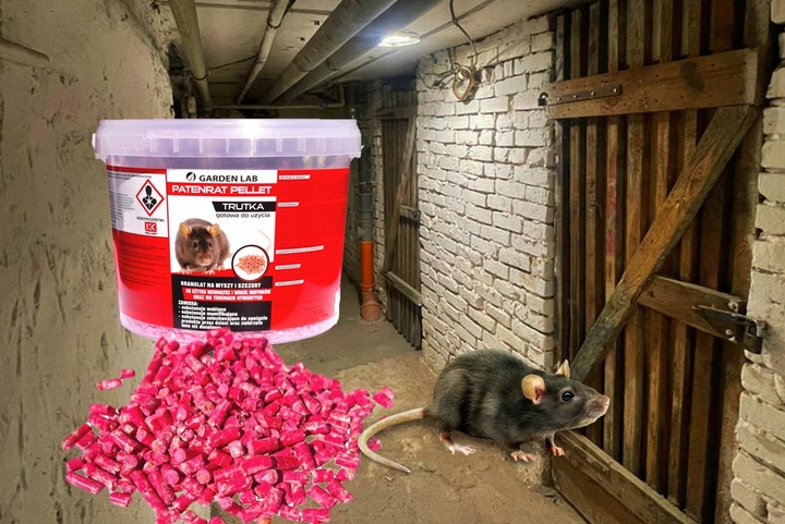 ZATRUTE ZIARNO MOCNA TRUTKA NA MYSZY SZCZURY GRYZONIE WABI