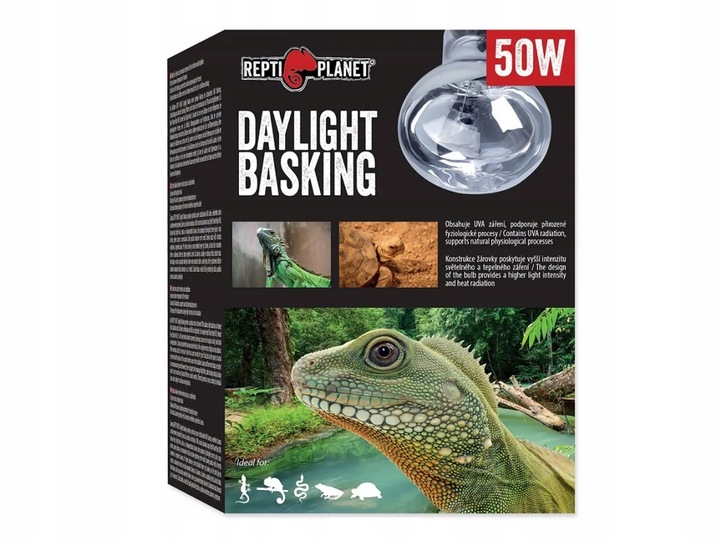 Żarówka grzewcza dzienna Daylight Spot 50W do terrarium Repti Planet