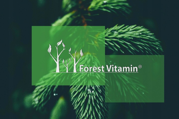 FOREST VITAMIN L-TREONIAN MAGNEZU 50g CZYSTY PROSZEK L-THREONATE MAGNEZ