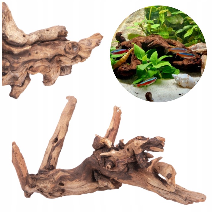 NATURALNY KORZEŃ DO AKWARIUM DESERT ROZMIAR M 20CM